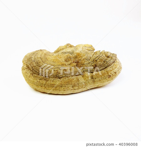 漢方處方藥，幹sarnokashikaque簡單物質，白背廣場 40396008