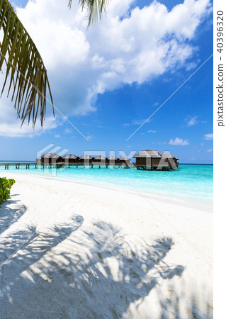 water bungalows at maldivian island water bungalows at maldivian island 40396320