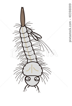 Mosquito larvae are weak Mosquito larvae are weak 40398009