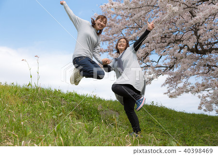 Parent and child doing cherry blossom viewing of cherry blossoms 40398469