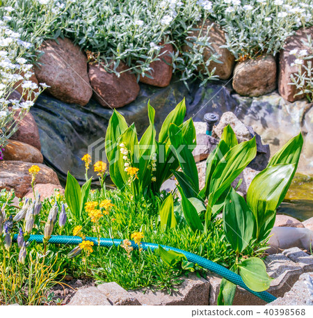 Beautiful Home garden Allotment in spring 40398568