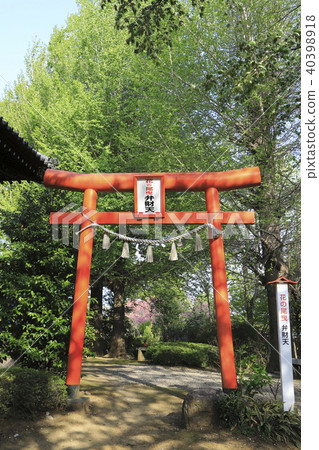 群馬縣大垣真綾神社Tatebayashi市 40398918