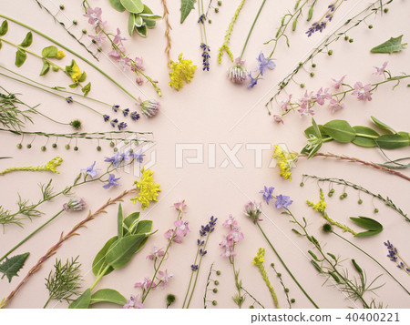 Graceful floral background pattern 40400221