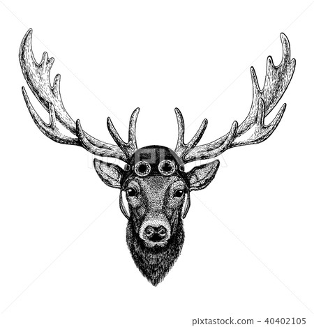 Cute animal wearing motorcycle, aviator helmet Deer Hand drawn illustration for tattoo, emblem Cute animal wearing motorcycle, aviator helmet Deer Hand drawn illustration for tattoo, emblem 40402105