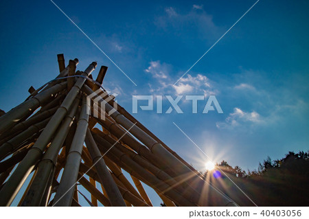 Photographed the situation that the bamboo which becomes raw material of tea of Takayama district of Ikoma-shi, Nara is sun-dried 40403056