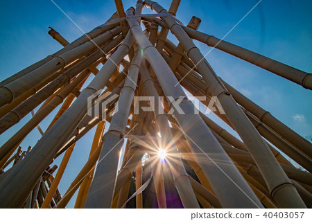 Photographed the situation that the bamboo which becomes raw material of tea of Takayama district of Ikoma-shi, Nara is sun-dried 40403057