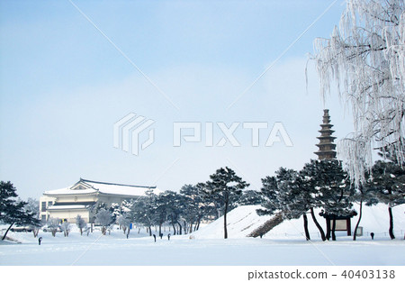 Center tower, Snow, Sogae, Winter, Architecture, Tree, Nature, Chungju, Chungbuk Center tower, Snow, Sogae, Winter, Architecture, Tree, Nature, Chungju, Chungbuk 40403138