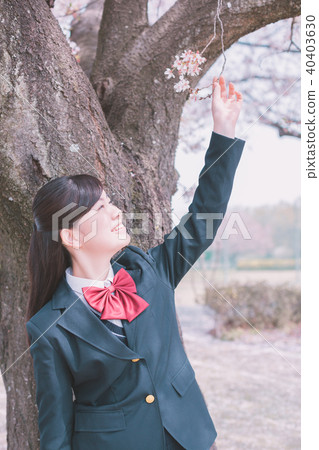 high school student, cherry blossom, high school girl 40403630