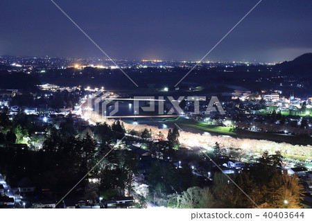 Kadokan night cherry blossoms light up 40403644