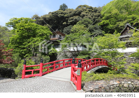 寺塔基 40403951