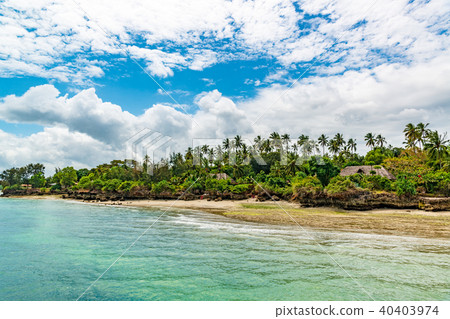桑給巴爾海岸（坦桑尼亞，桑給巴爾） 40403974