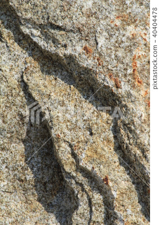 Rough rough skin 40404478