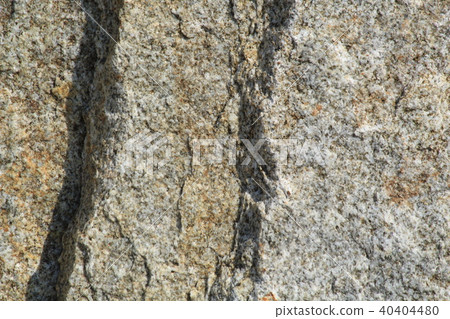 Rough rough skin 40404480