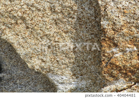 Rough rough skin 40404481