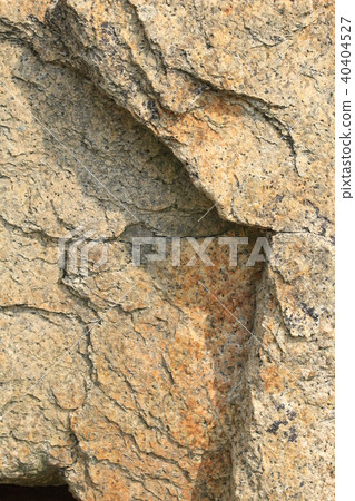 Rough rough skin Rough rough skin 40404527