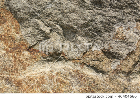 Rough rough skin 40404660