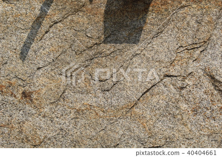 粗糙的皮膚 40404661