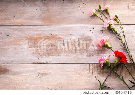 母親節圖像康乃馨框架 40404716