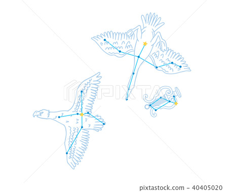 Illustration material of the summer triangle constellation Illustration material of the summer triangle constellation 40405020