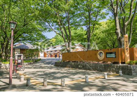 Nagoya castle lower main gate area Kinshachi Yokocho right straight zone Nagoya castle lower main gate area Kinshachi Yokocho right straight zone 40405071
