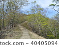 河青苔爬山路 40405094
