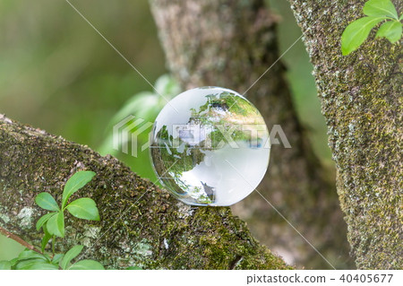 The globe in the forest 40405677