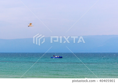 transport ship and gull on the lake Baikal transport ship and gull on the lake Baikal 40405901