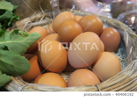Egg 40406192