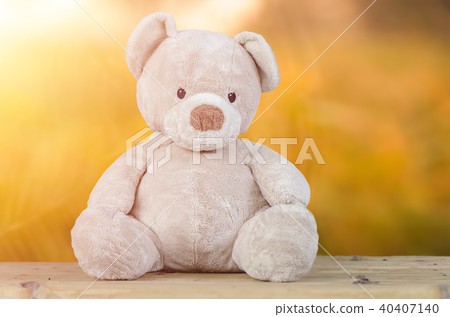 Teddy bear with green nature background. Teddy bear with green nature background. 40407140