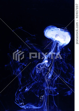 Ink dropped into water like jellyfish 40407897