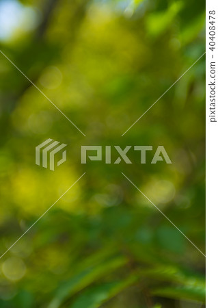 Summer blurred material Summer blurred material 40408478