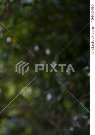 夏天模糊的材料 40408490