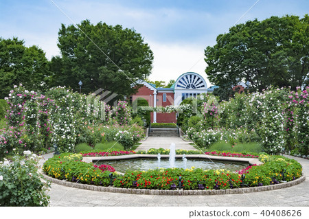 Rose garden (Yoko-ku, Yokohama-shi) of hill park where harbor can be seen 40408626