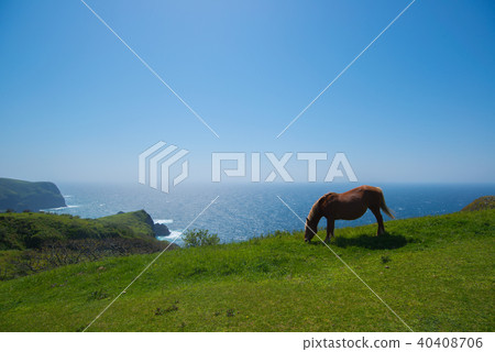 庫尼加海岸 40408706