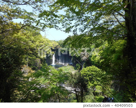 Shiraito Falls scenery Shiraito Falls scenery 40409503