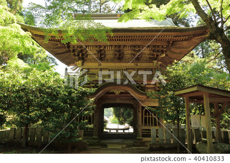 Maruyama Shrine 40410833