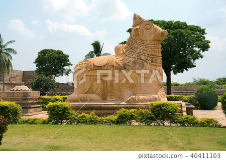 Huge Nandi bull at entrance, Brihadisvara Temple Huge Nandi bull at entrance, Brihadisvara Temple 40411103