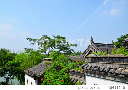 大阪景觀“國際花卉與綠色博覽會”現場 40411240