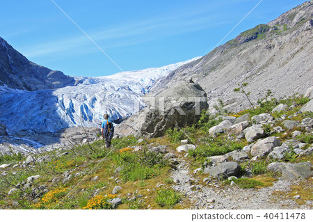 A mountain guide hiking to Fabergstolsbreen, a glacier arm of the large Jostedalsbreen glacier 40411478