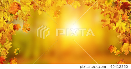Autumn background with falling leaves, free space for text Autumn background with falling leaves, free space for text 40412260