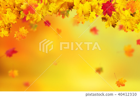 Autumn abstract background with falling leaves Autumn abstract background with falling leaves 40412310