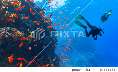 Scuba diver explore a coral reef 40413313