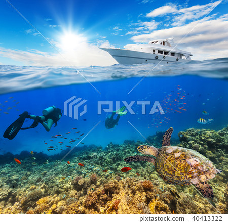 Underwater coral reef with scuba divers Underwater coral reef with scuba divers 40413322