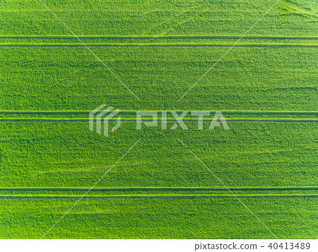 Green fields aerial view in spring 40413489