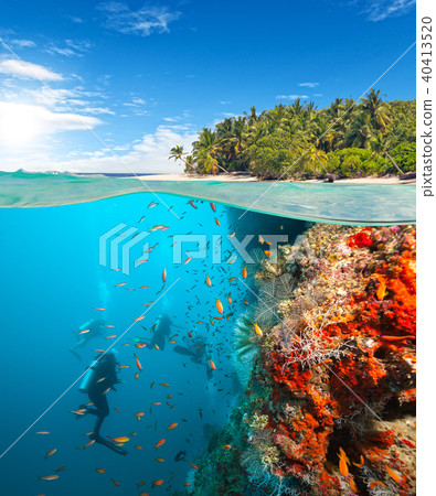 Group of scuba divers exploring coral reef Group of scuba divers exploring coral reef 40413520