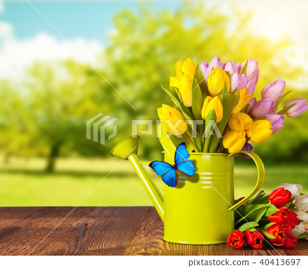 Spring tulip flower bouquet on wooden planks Spring tulip flower bouquet on wooden planks 40413697