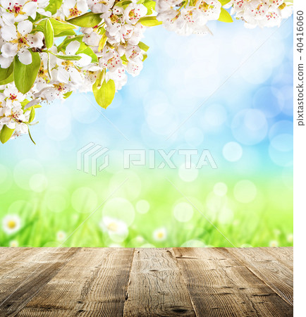 Cherry blossoms with empty wooden planks 40416060