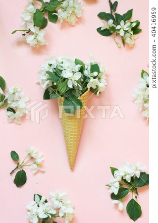 Creative stilllife of white flower in cone on pink Creative stilllife of white flower in cone on pink 40416959