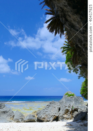 Okinerabu島海岸 40417925