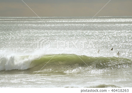 Shonan Sea Shonan Sea 40418263